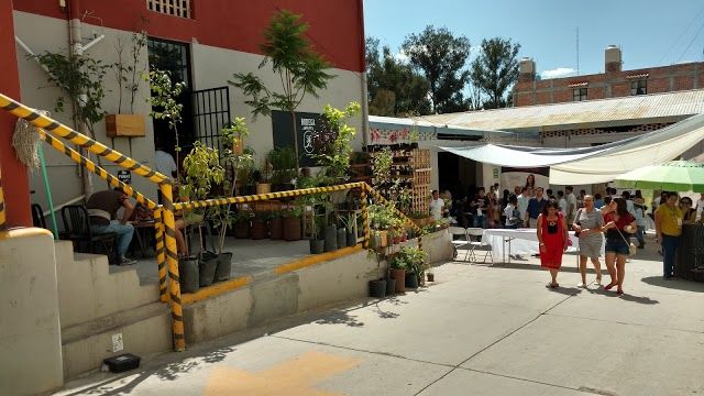 Mercado Sano